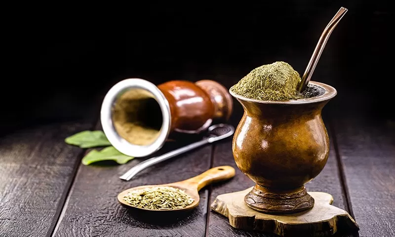 Yerba Mate: History, Nutritional Profile and Benefits