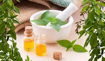  Plant-Based Formula Shows Promise in Preventing Breast Cancer Metastasis