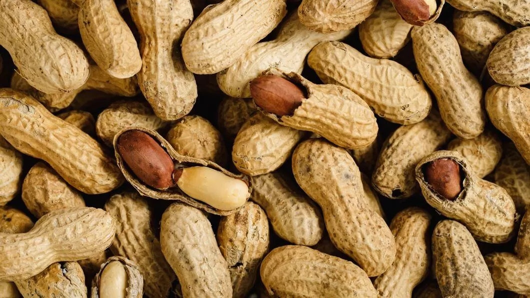 What foods are high in resveratrol?