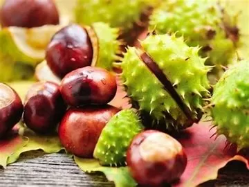 What are the benefits of taking Boswellia?