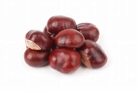 Who Cannot Eat Chestnuts? Exploring Health Implications and 