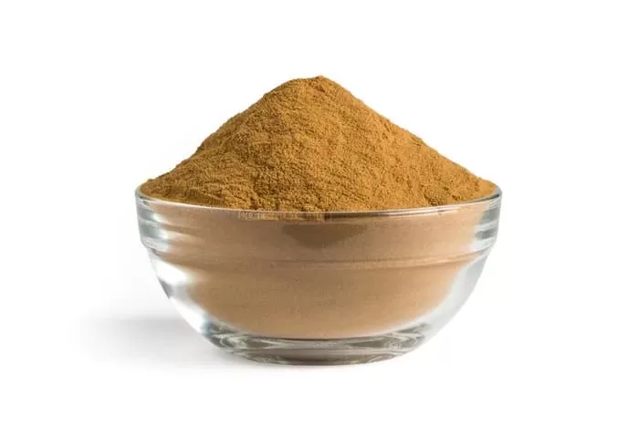 Does Reishi Mushroom Increase Estrogen?