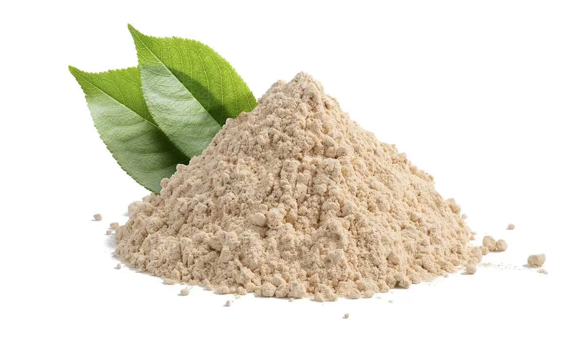 What Supplements Should I Not Take with Green Tea?