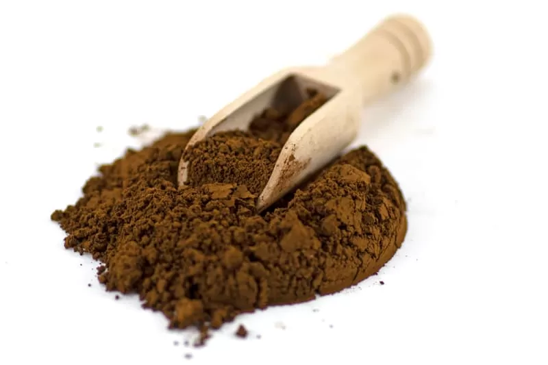 Cognitive Benefits of Reishi Mushroom: Unlocking Brain Healt