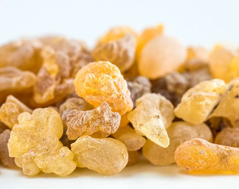 Boswellia Serrata: History and Health Benefits