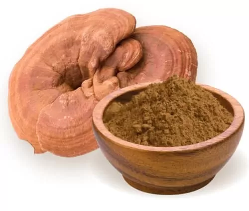  Benefits of Reishi Mushroom for Hair Health: A Comprehensive Guide