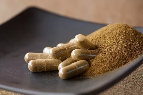 what is reishi mushroom extract good for