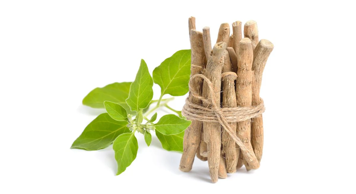 Ashwagandha and Rhodiola: Combined Benefits and Cautions