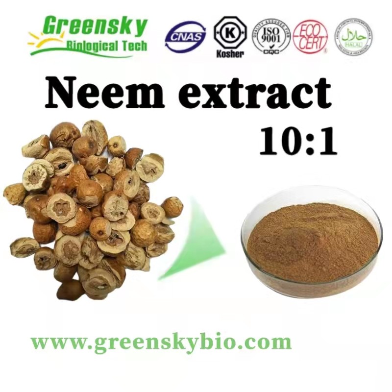 Chuanlianzi Extract