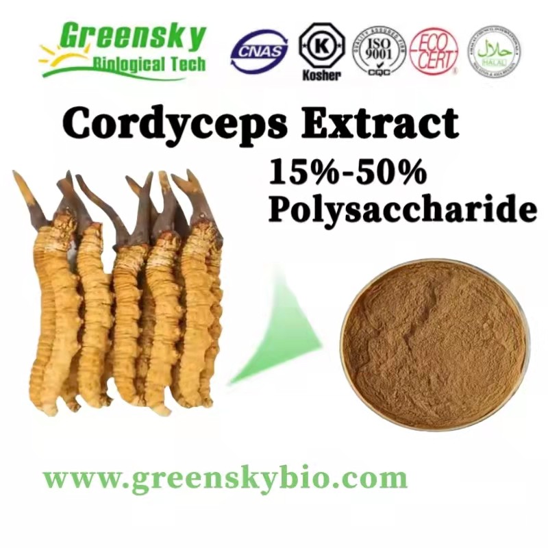 Cordyceps Extract