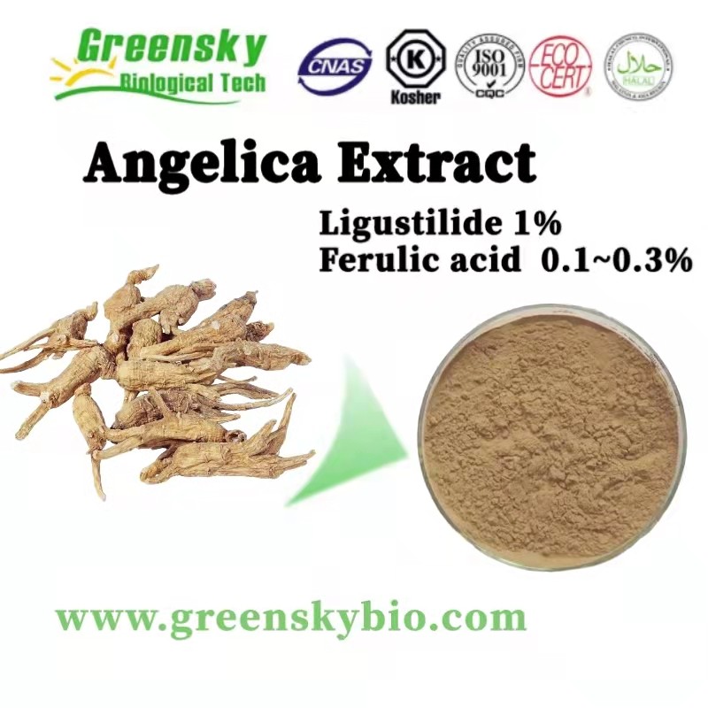 Angelica sinensis