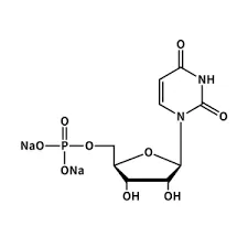 UMP-Na2: In-Depth Exploration from Biochemistry to Health