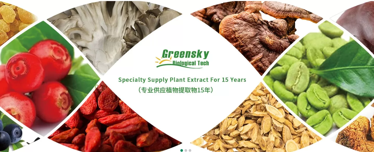 Revealing the Health Secrets of Grape Seed Extract: A Compre