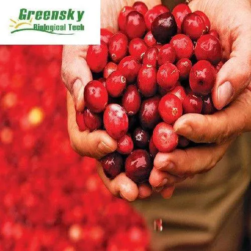 Cranberry Extract