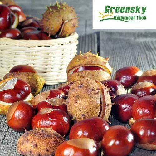 Horse Chestnut Extract 