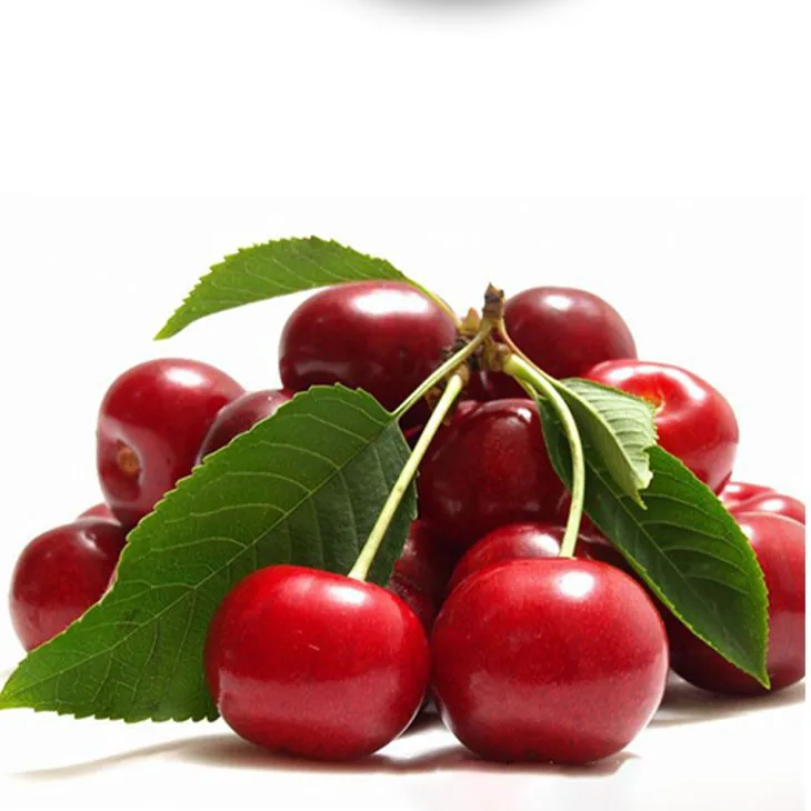 Acerola Extract