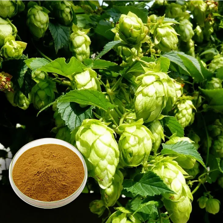 Hops Extract