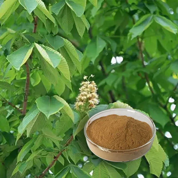 Horse Chestnut Extract 