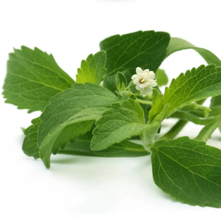 Stevia Extract
