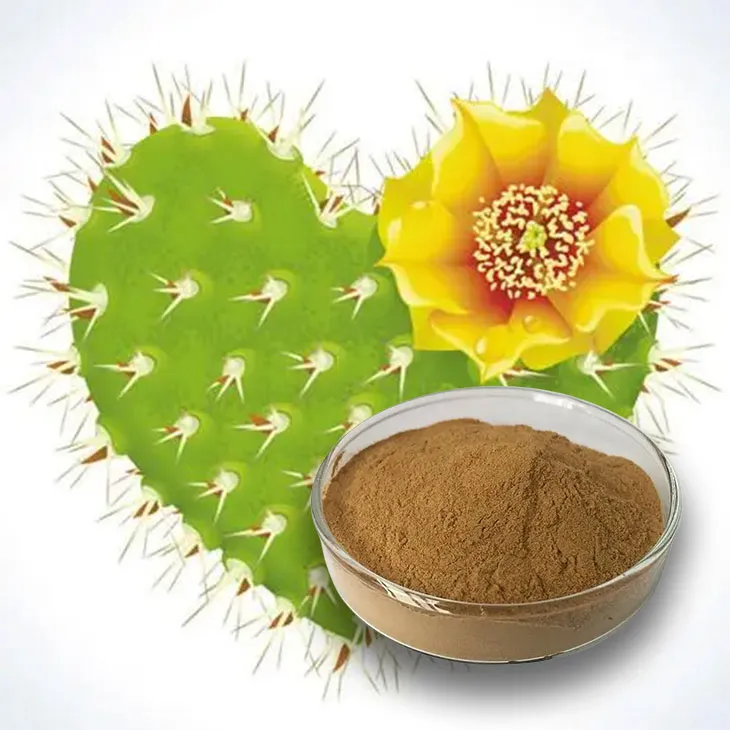 Cactus Extract