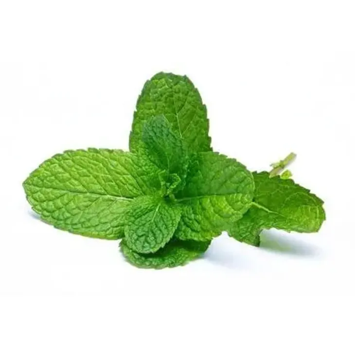 Peppermint Oil