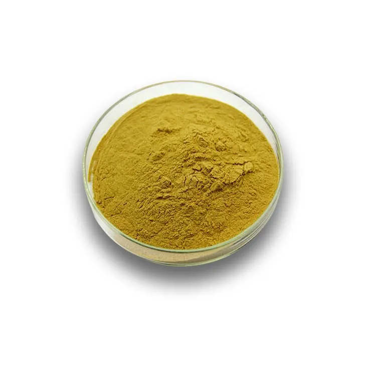 Phyllanthus Emblica Extract