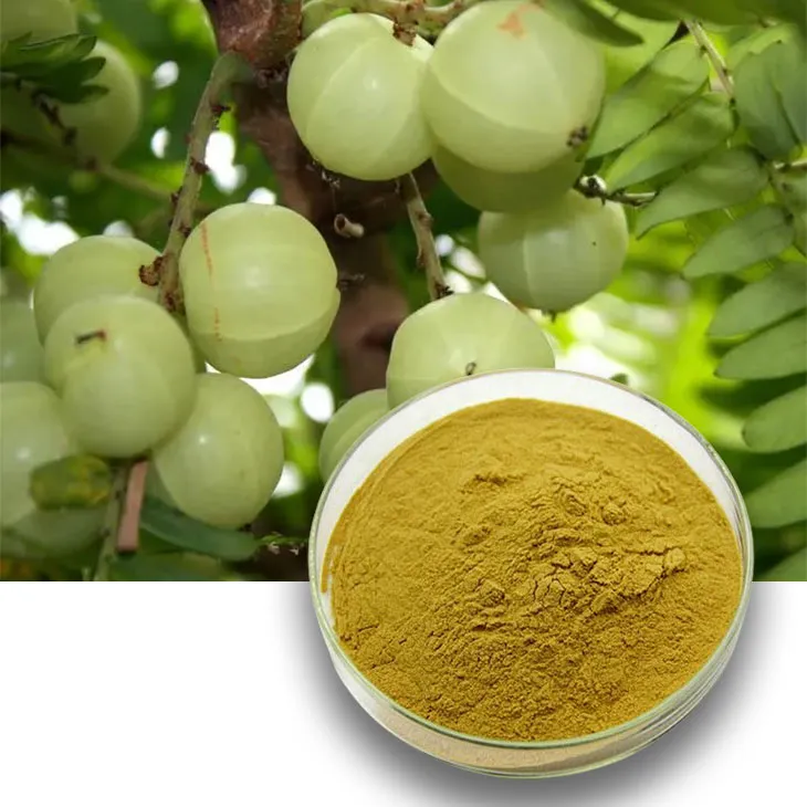 Phyllanthus Emblica Extract