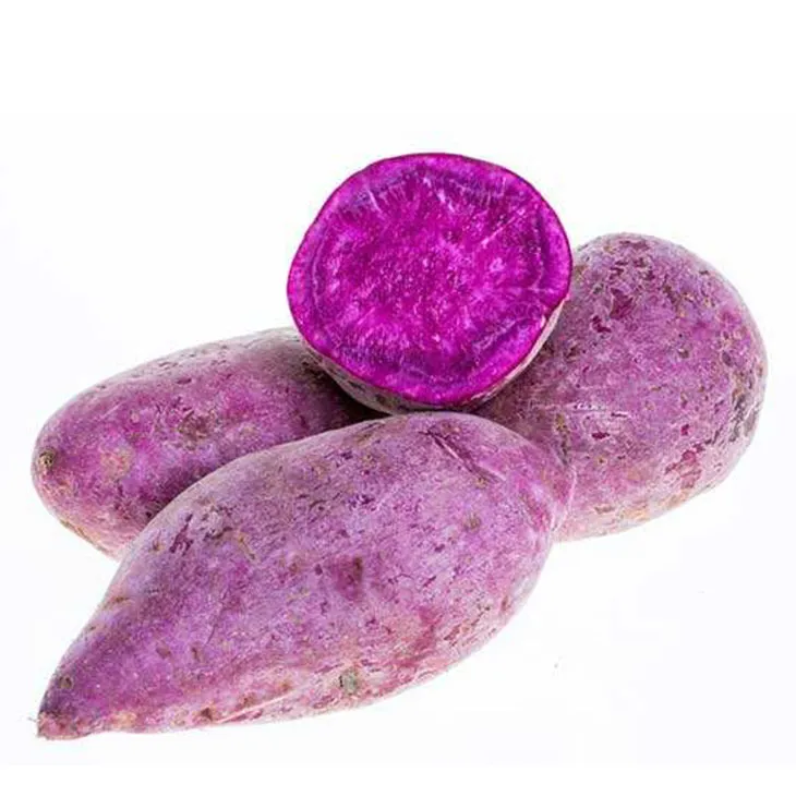 Purple Sweet Potato Extract Manufacturers Purple Sweet Potato Extract Purple Sweet Potato Extract Manufacturers Purple Sweet Potato Extract