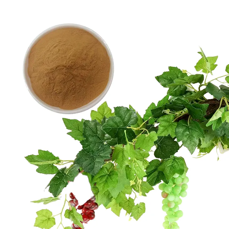 Grape Leaf Extract