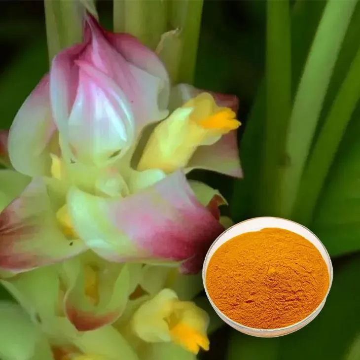 Curcuma Longa Extract