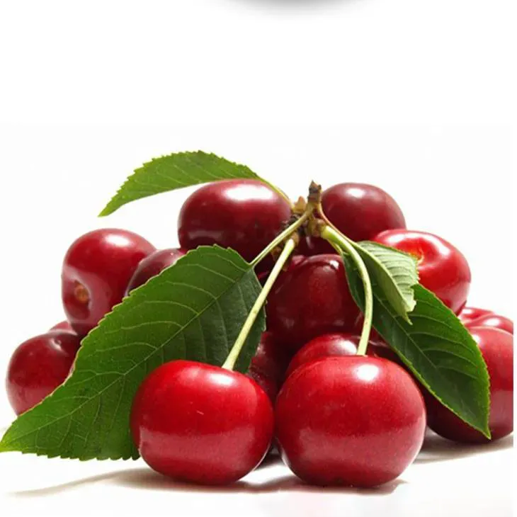 Acerola Juice Powder