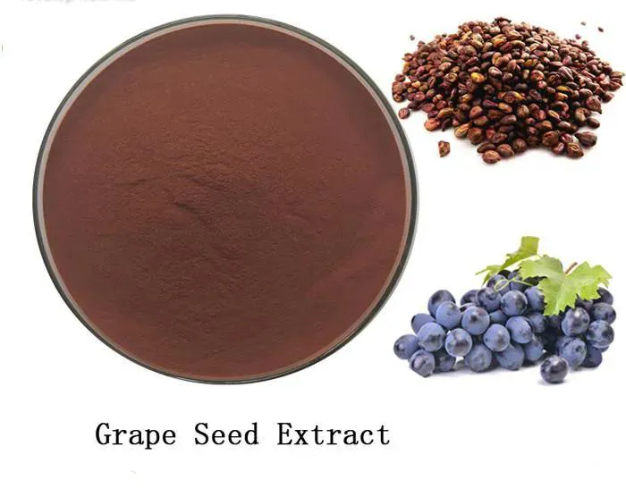 Grape Seed Extract