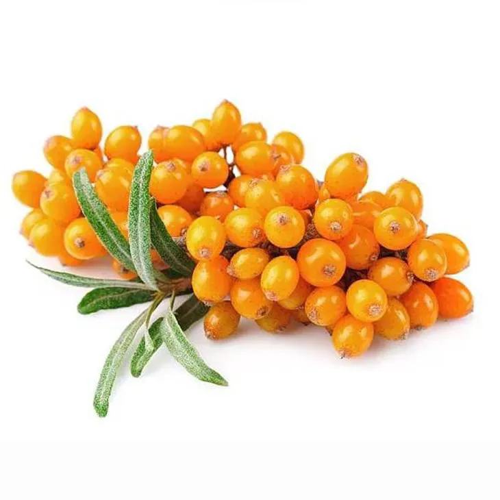 Sea buckthorn Juice Powder 