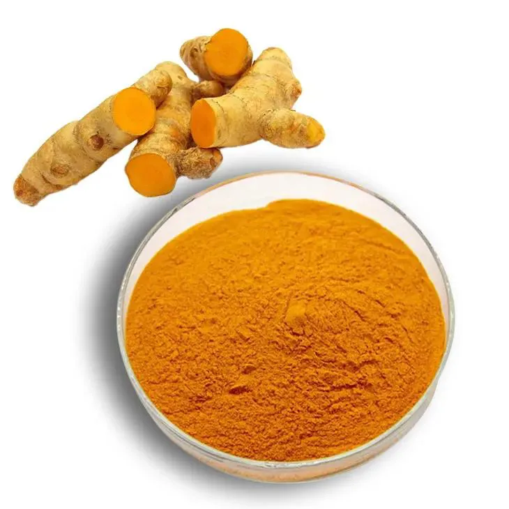 Curcumin Extract