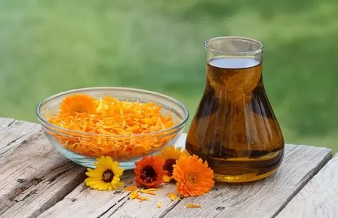 The Marvels of Marigold Extract: Is it Good for Your Skin?