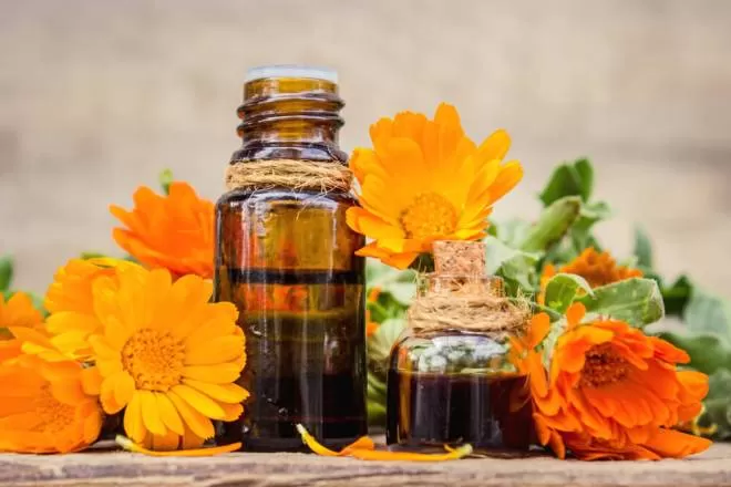7 Benefits of Marigolds
