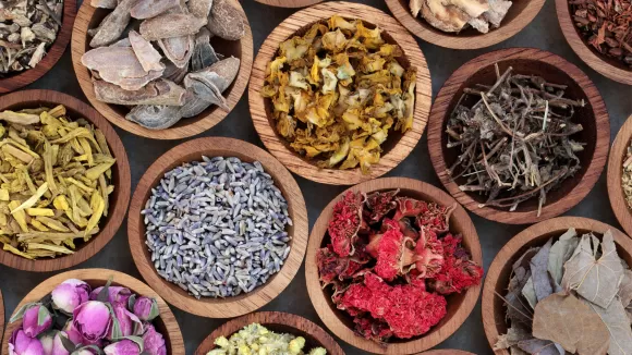 Harnessing Traditional Chinese Medicine: Exploring Plant-Based Remedies for Rheumatoid Arthritis