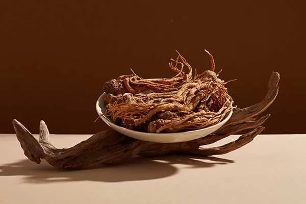Female Ginseng Compound Offers New Hope in Osteoporosis Treatment