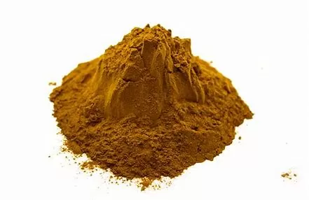 Does Reishi Mushroom Make You Look Younger? 