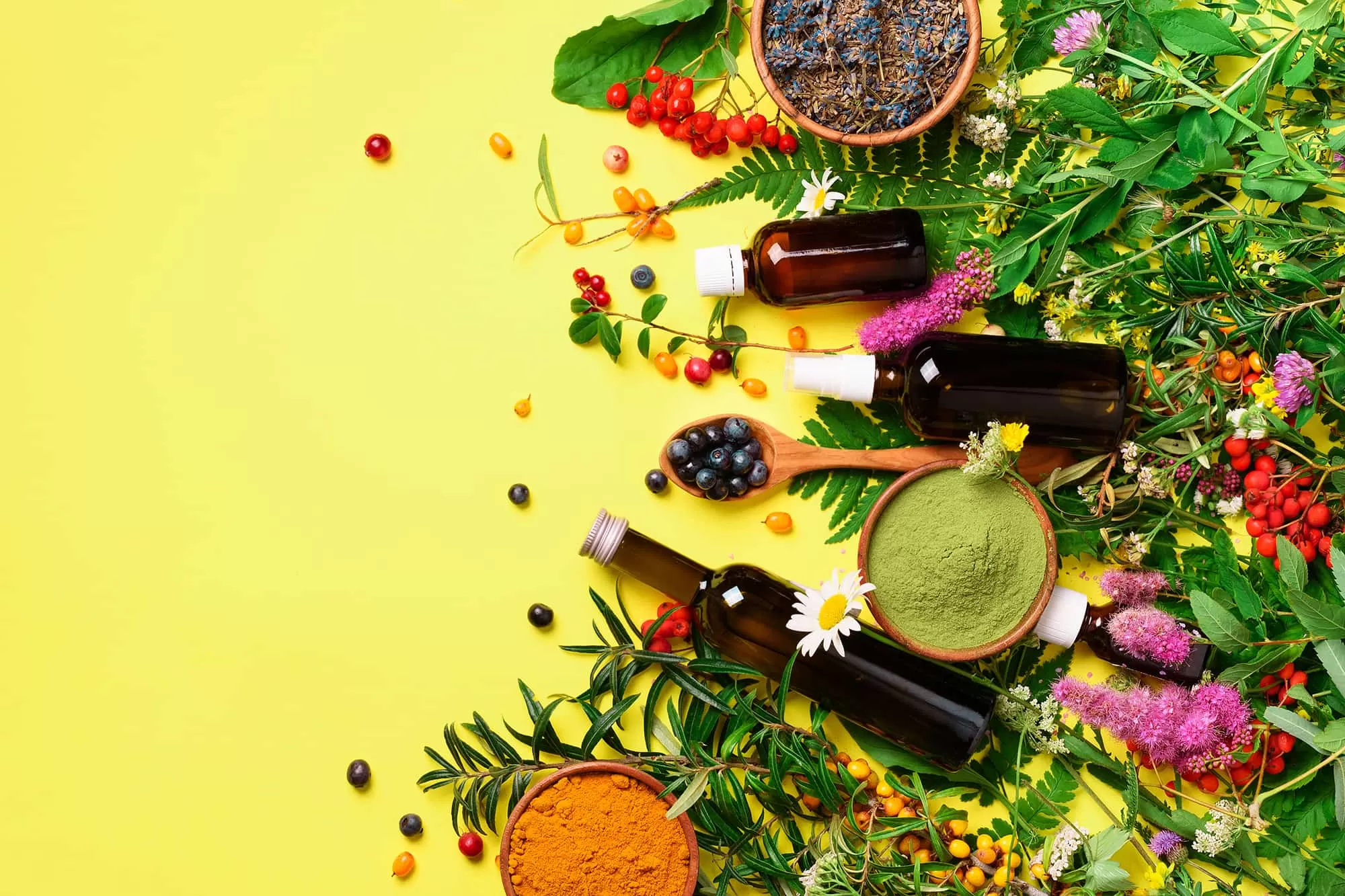 Blighia Sapida: A Promising Contender in the Fight Against Antimicrobial Resistance
