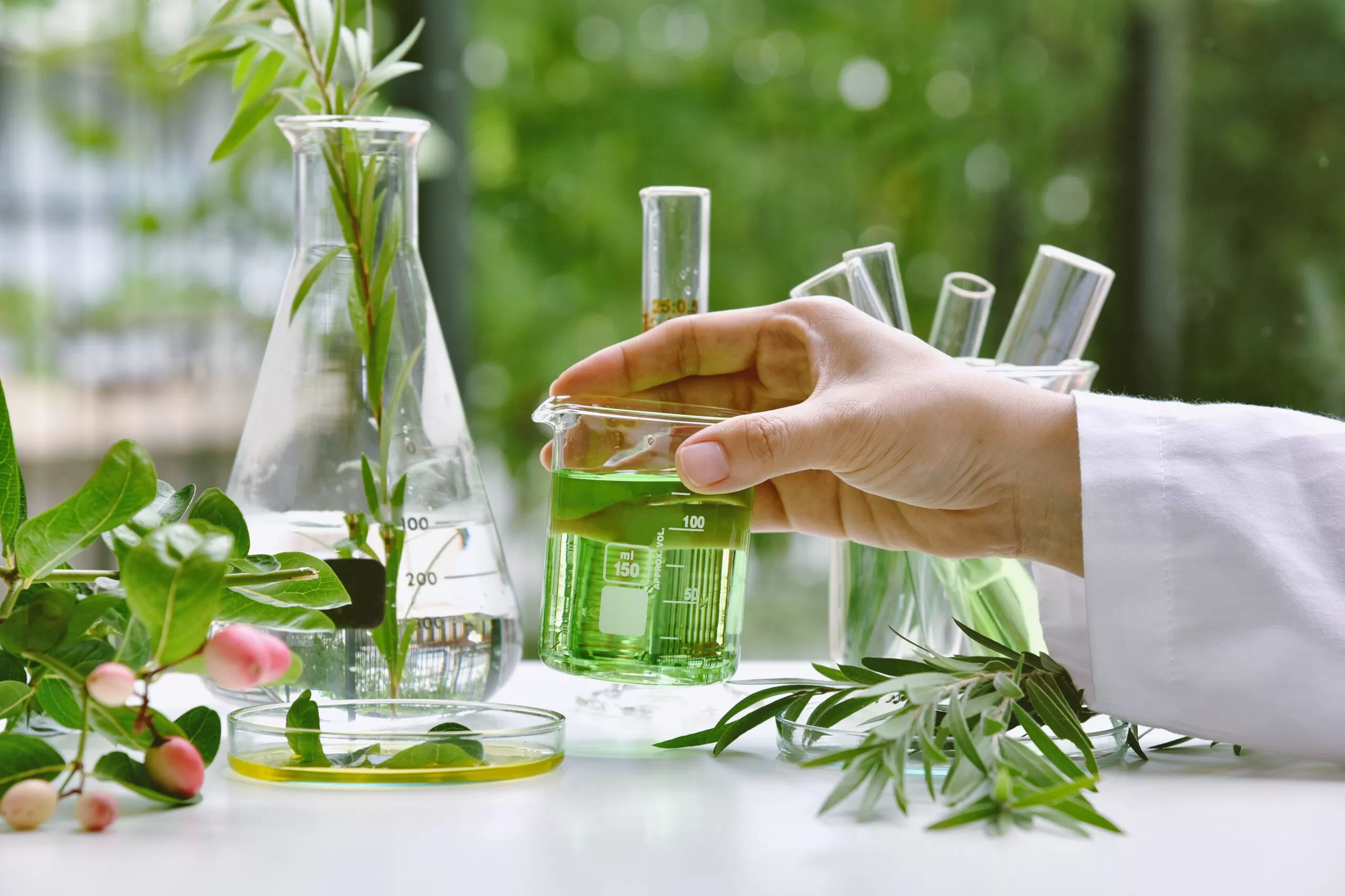 What are plant-based extracts?