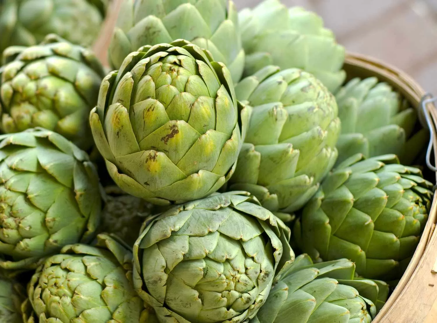 What are the negative side effects of artichoke extract?