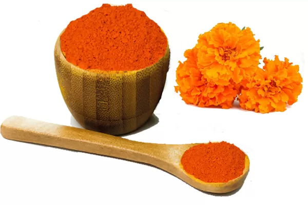 Side Effects of Lutein Derived from Marigold Extract: A Comp