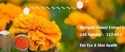 The Side Effects of Marigold Extract: A Detailed Insight