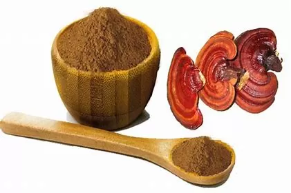 Effects of Reishi Mushrooms: How Do They Make You Feel?