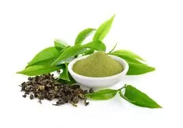 Is there a difference between green tea and green tea extract?