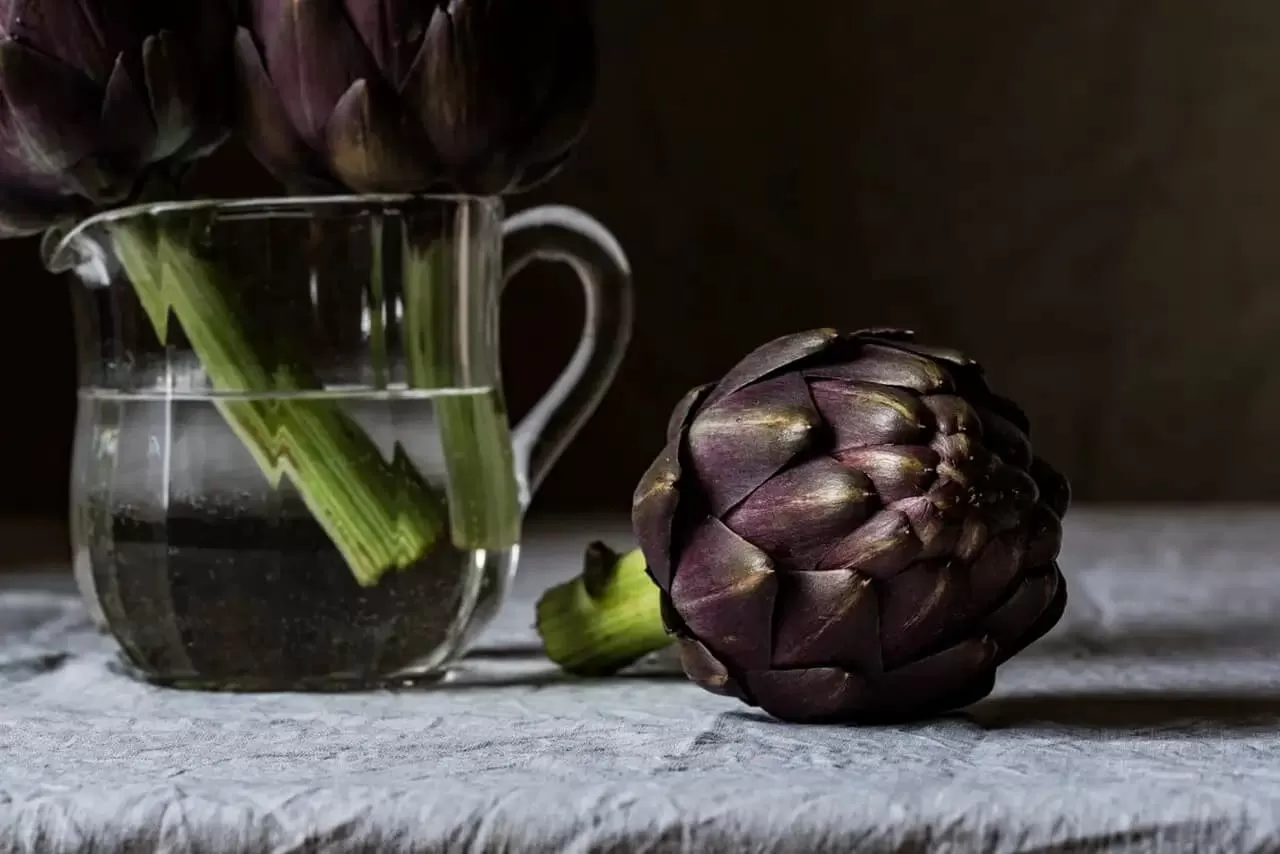 Is artichoke extract good for your kidneys?