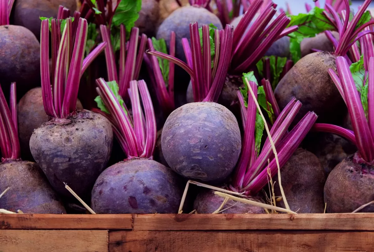 10 benefits of beetroot