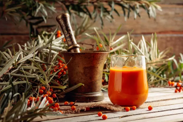 Benefits of Sea Buckthorn: What It Does for the Body
