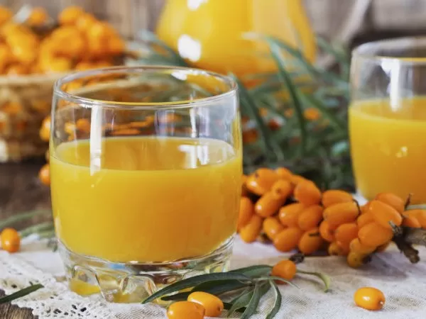 Is sea buckthorn good for fatty liver?